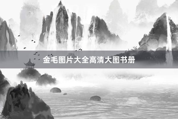 金毛图片大全高清大图书册