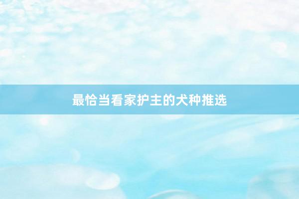 最恰当看家护主的犬种推选